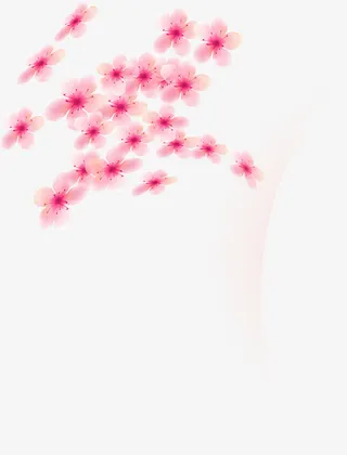 唯美创意花瓣飘落免抠