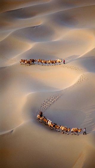 简约敦煌沙漠手机端H5背景高清