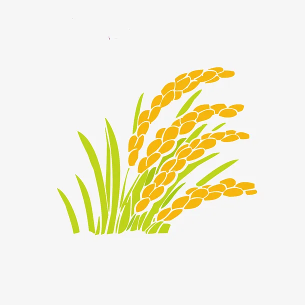 矢量水稻设计素材免抠手绘/卡通卡通元素