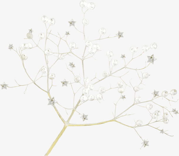 繁花点点免抠
