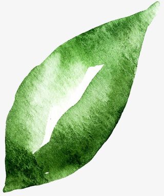 手绘水墨绿色叶子免抠