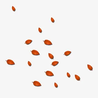 落叶枯叶飘散素材免抠