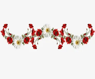 红色玫瑰花边框免抠