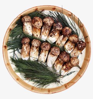 树叶装盘野生菌免扣免抠