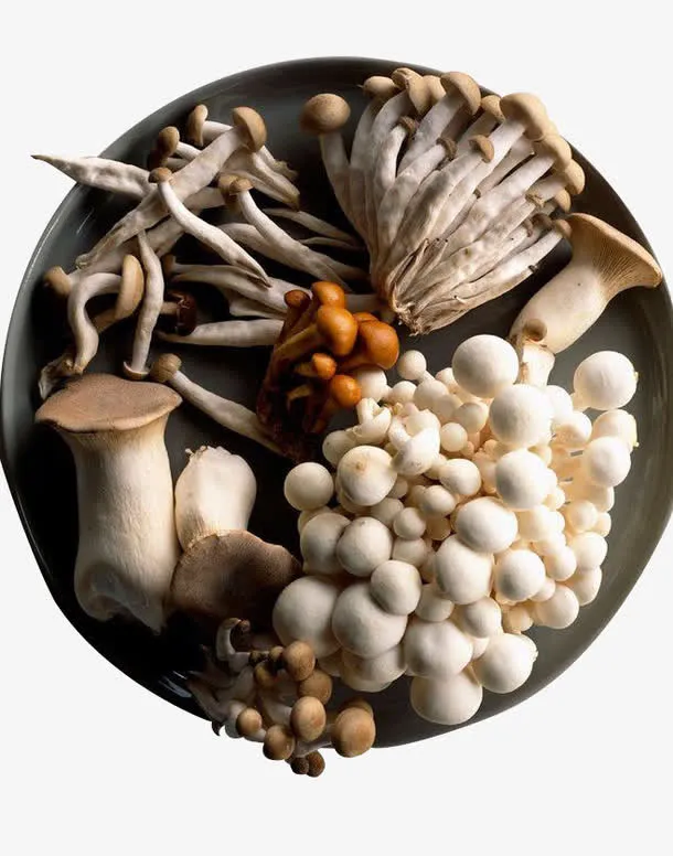 菌菇拼盘免抠