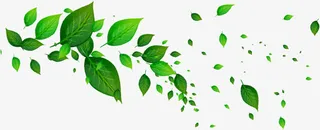 绿色树叶漂浮素材免抠