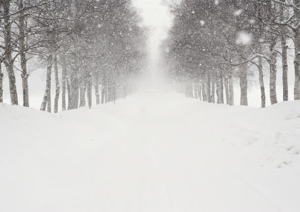 冬季雪后树林风景免抠