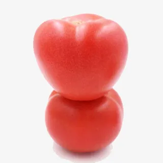 新鲜大西红柿免抠