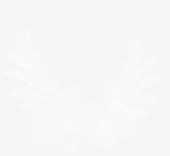 手绘白色线稿花卉叶子免抠