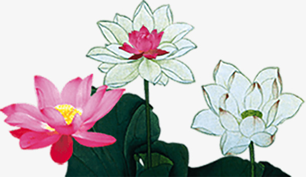 漂浮元素花2免抠