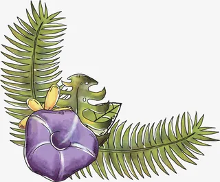 水彩手绘植物标题框免抠