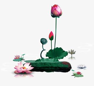 高雅水墨荷花免抠装饰墨迹笔触元素