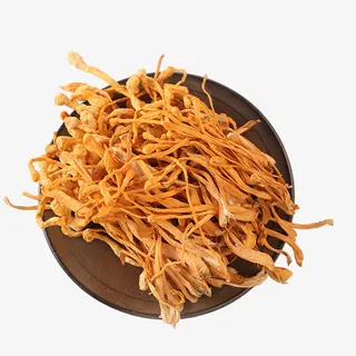 金虫草特写免抠