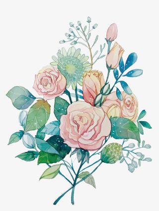 矢量手绘花朵免抠