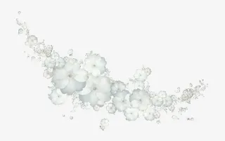 白色花朵装饰点缀图案免抠