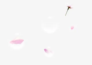 透明气泡花瓣花免抠