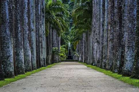 深邃树林抽象美景免抠