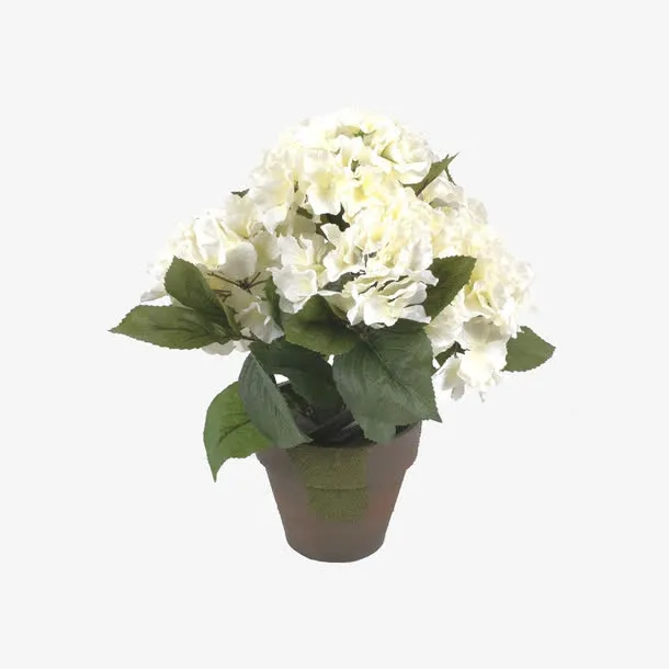 欧美流行插花 绿植物 鲜花软装免抠