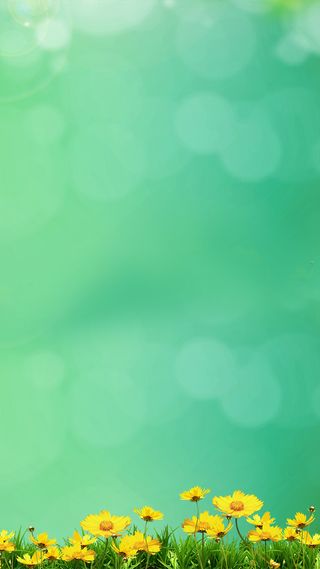 清新唯美绿色背景H5背景高清