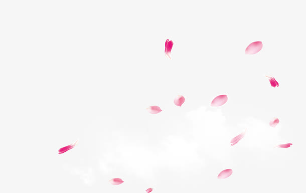 粉色花瓣免抠