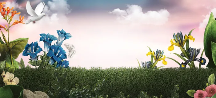 春天文艺渐变草地景色白云粉banner高清