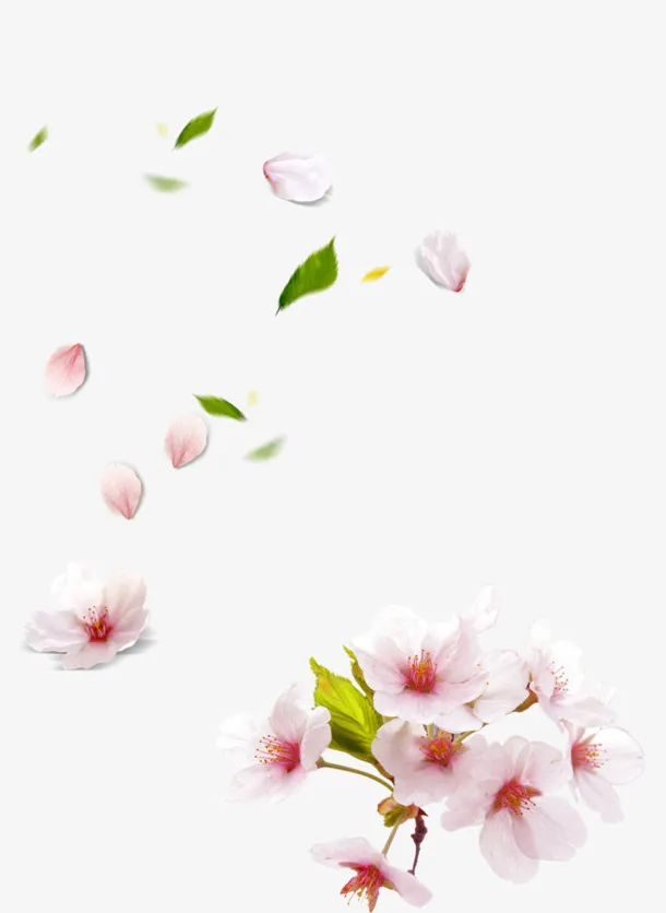 唯美花瓣雨清新素材免抠