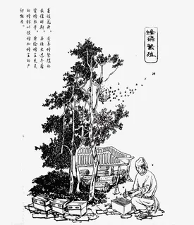 养蜂人插画免抠