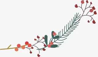 边框 花边 底纹 绿叶 藤蔓免抠