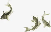 创意手绘水彩游泳的金鱼绘画免抠
