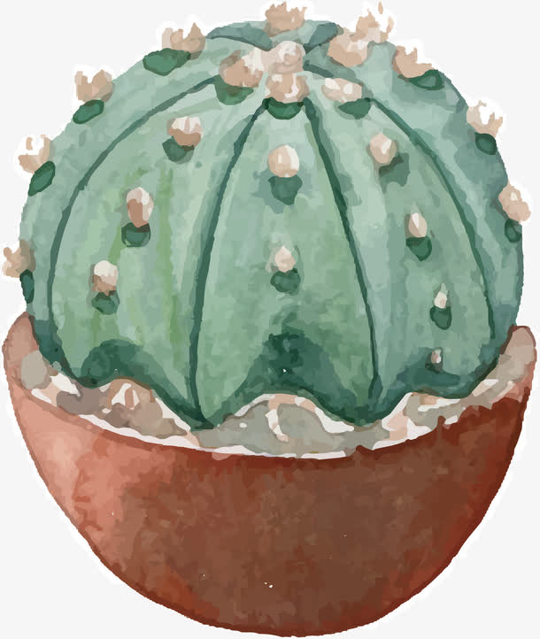仙人掌PNG下载免抠