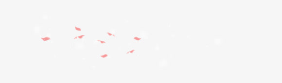 浅色花瓣 漂浮花瓣免抠