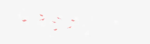 浅色花瓣 漂浮花瓣免抠
