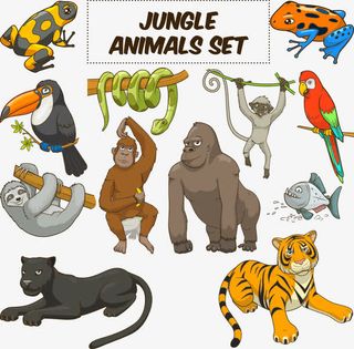 矢量卡通森林动物免抠