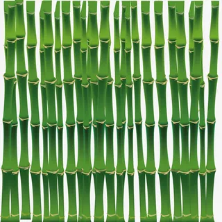 翠竹免抠