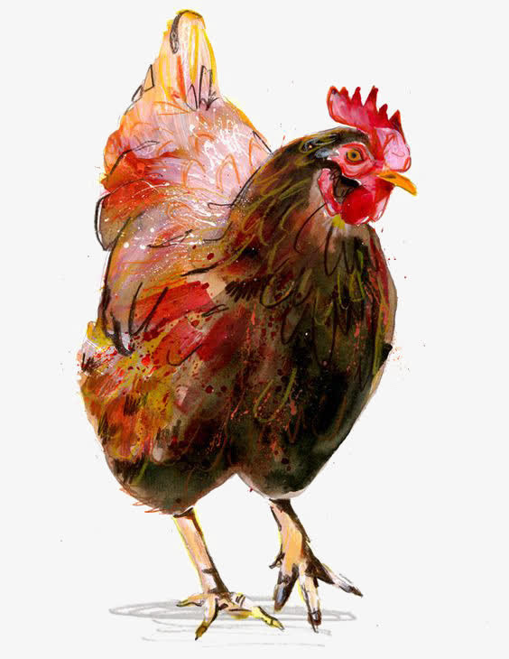 公鸡免抠