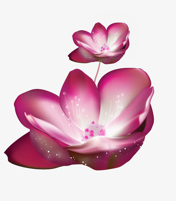 卡通梦幻紫色荷花花卉免抠