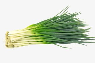 一把翠绿小葱免抠