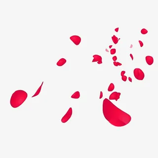 红色漂浮花瓣免抠