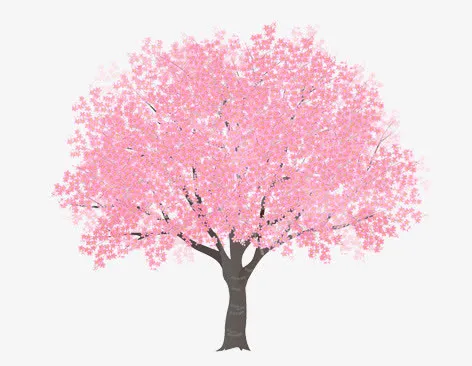 卡通樱花树免抠