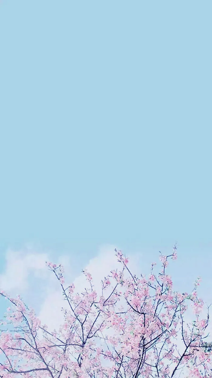 简约蓝色摄影H5背景高清