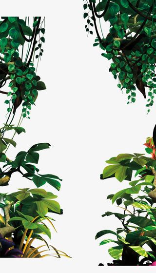 绿色植物边框装饰免抠
