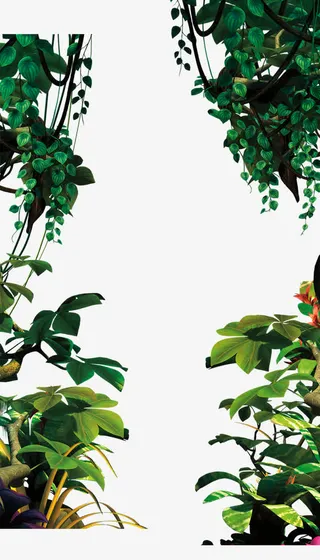 绿色植物边框装饰免抠