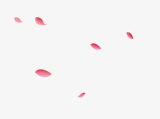 ps古风免抠花瓣素材飘落的花瓣免抠
