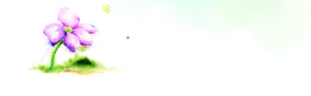 花瓣背景图