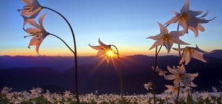 日落的地平线高清