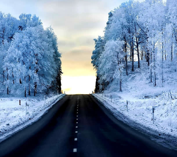 冬季公路森林雪景免抠