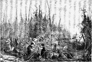 矢量收获季节免抠