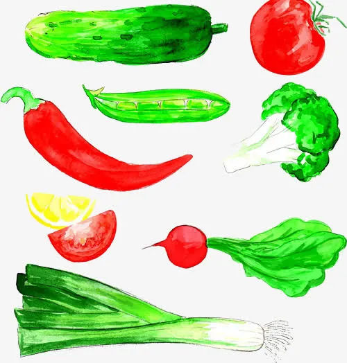 手绘蔬菜免抠
