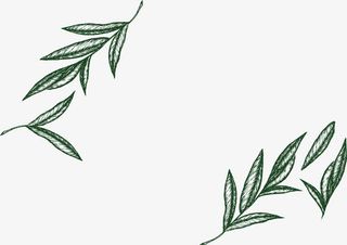 手绘树叶装饰框免抠