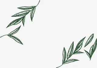 手绘树叶装饰框免抠